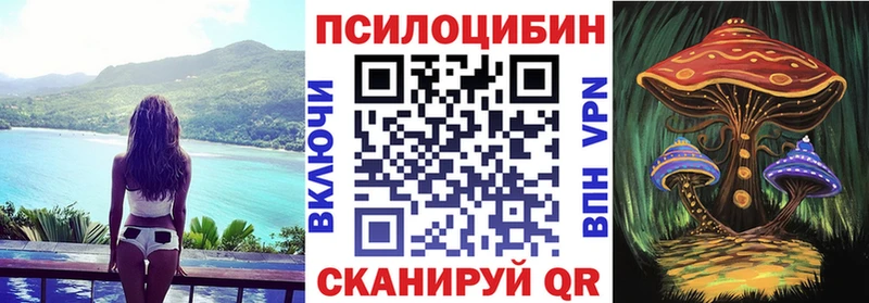 Купить где  Андреаполь  Галлюциногенные грибы Magic Shrooms 