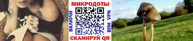 Псилоцибиновые грибы Cubensis Андреаполь